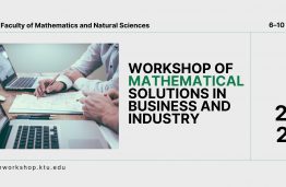 Workshop of Mathematical Solutions in Business and Industry