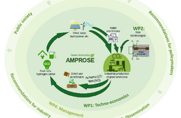 Meeting of the scientific project „Prospects for Green Ammonia in Sustainable Energy Development (AMPROSE)“